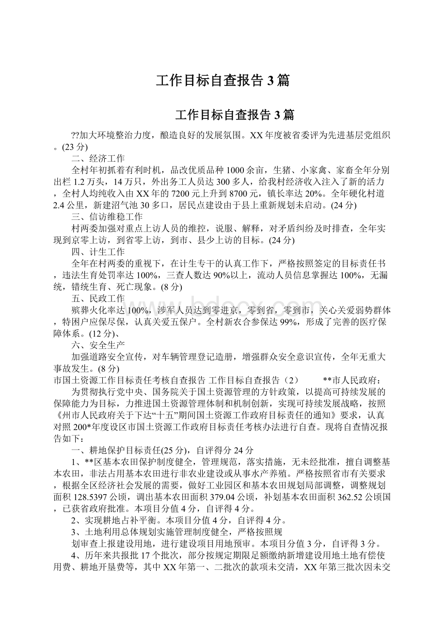 工作目标自查报告3篇.docx