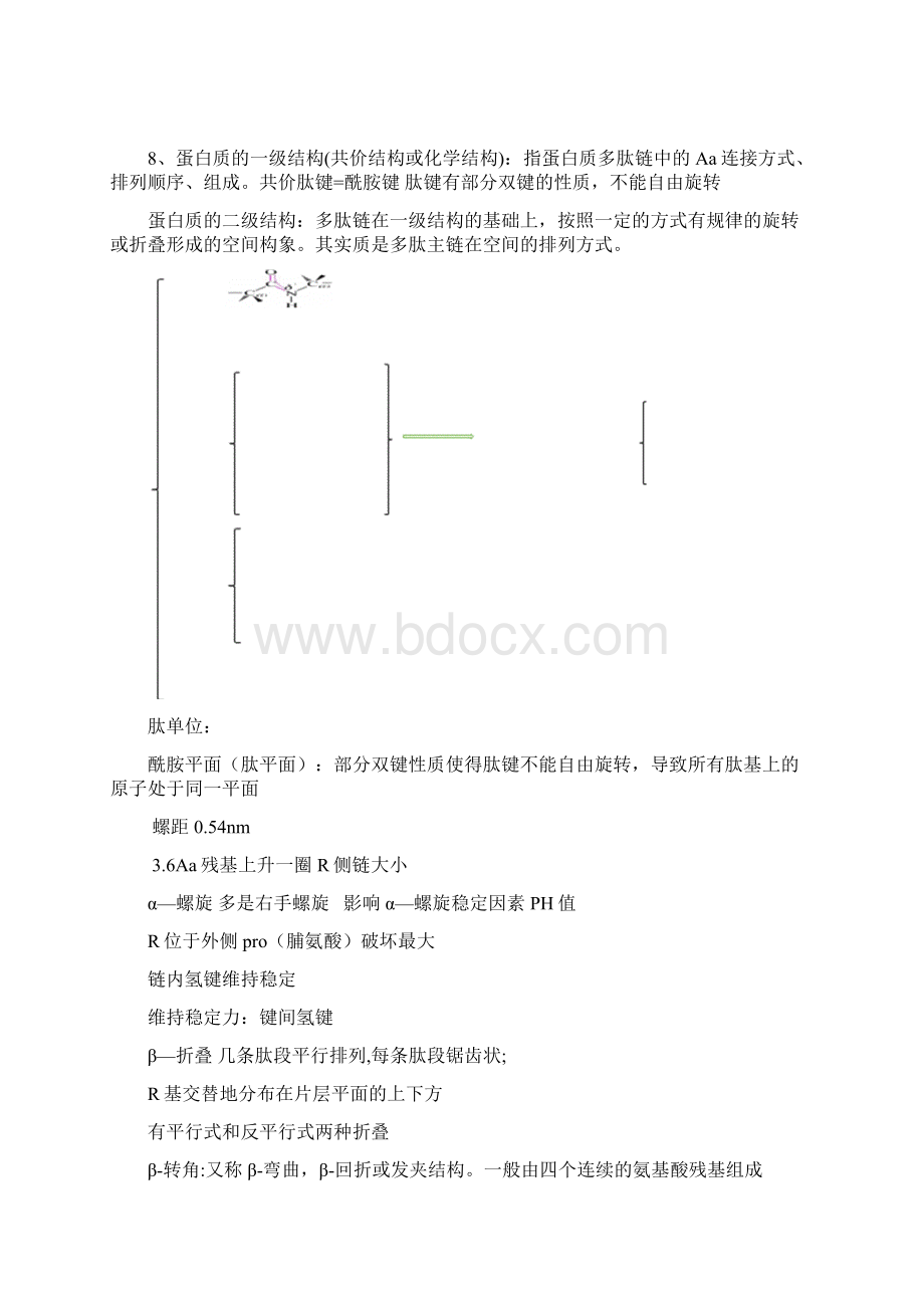 内蒙古农业大学考研生物化学知识点总结Word格式.docx_第3页