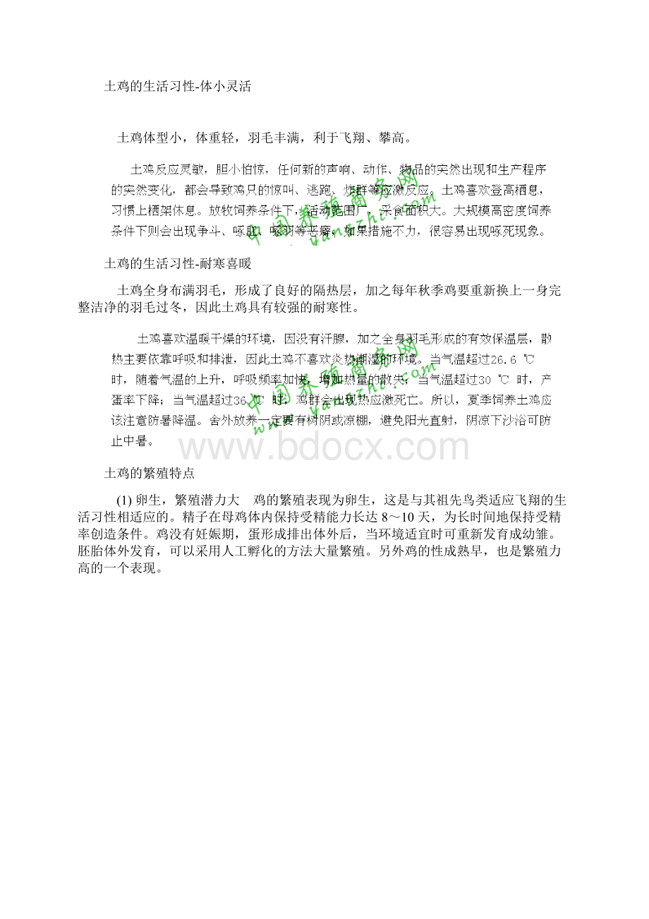 土鸡的饲养技术文档格式.docx_第2页