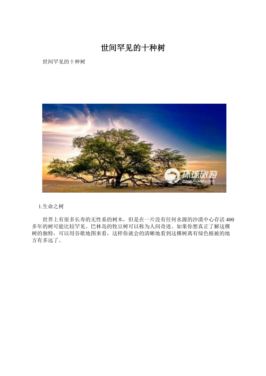 世间罕见的十种树Word下载.docx_第1页