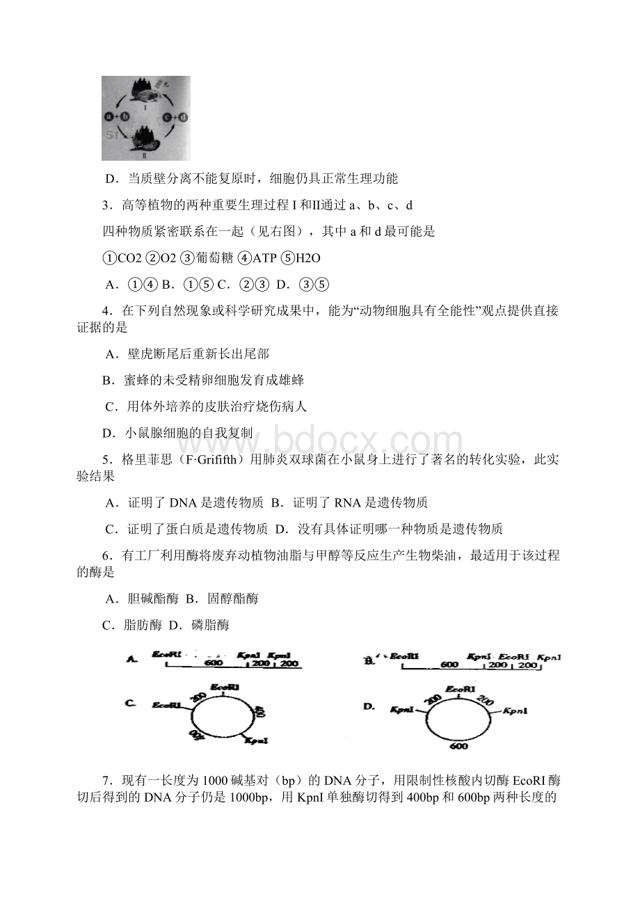 生物高考试题生物广东卷Word文档格式.docx_第2页