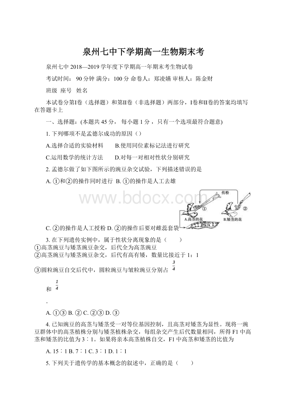 泉州七中下学期高一生物期末考Word文档下载推荐.docx_第1页