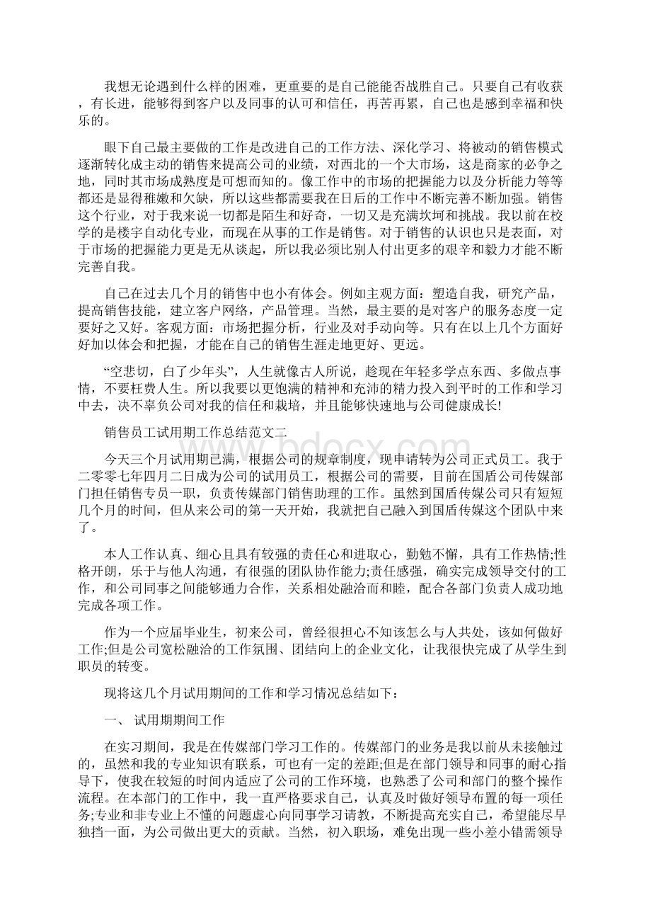 销售员工试用期工作总结 销售试用期工作描述.docx_第2页