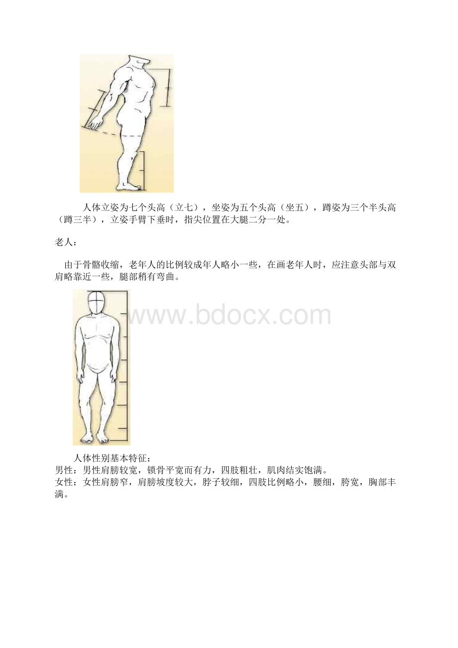 flash动画制作动画人物结构flash商业动画Word文档格式.docx_第2页