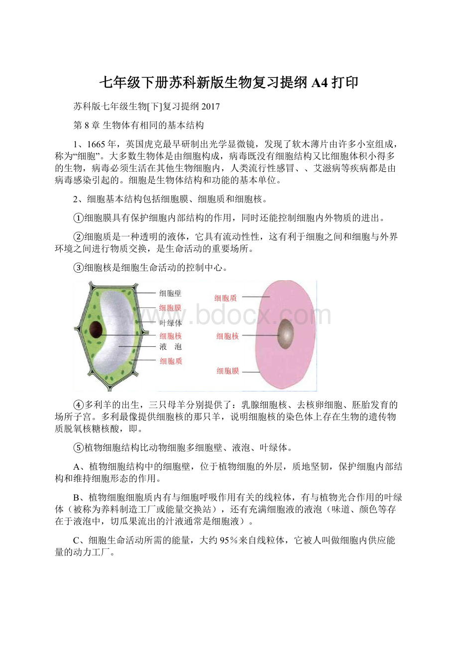 七年级下册苏科新版生物复习提纲A4打印.docx_第1页