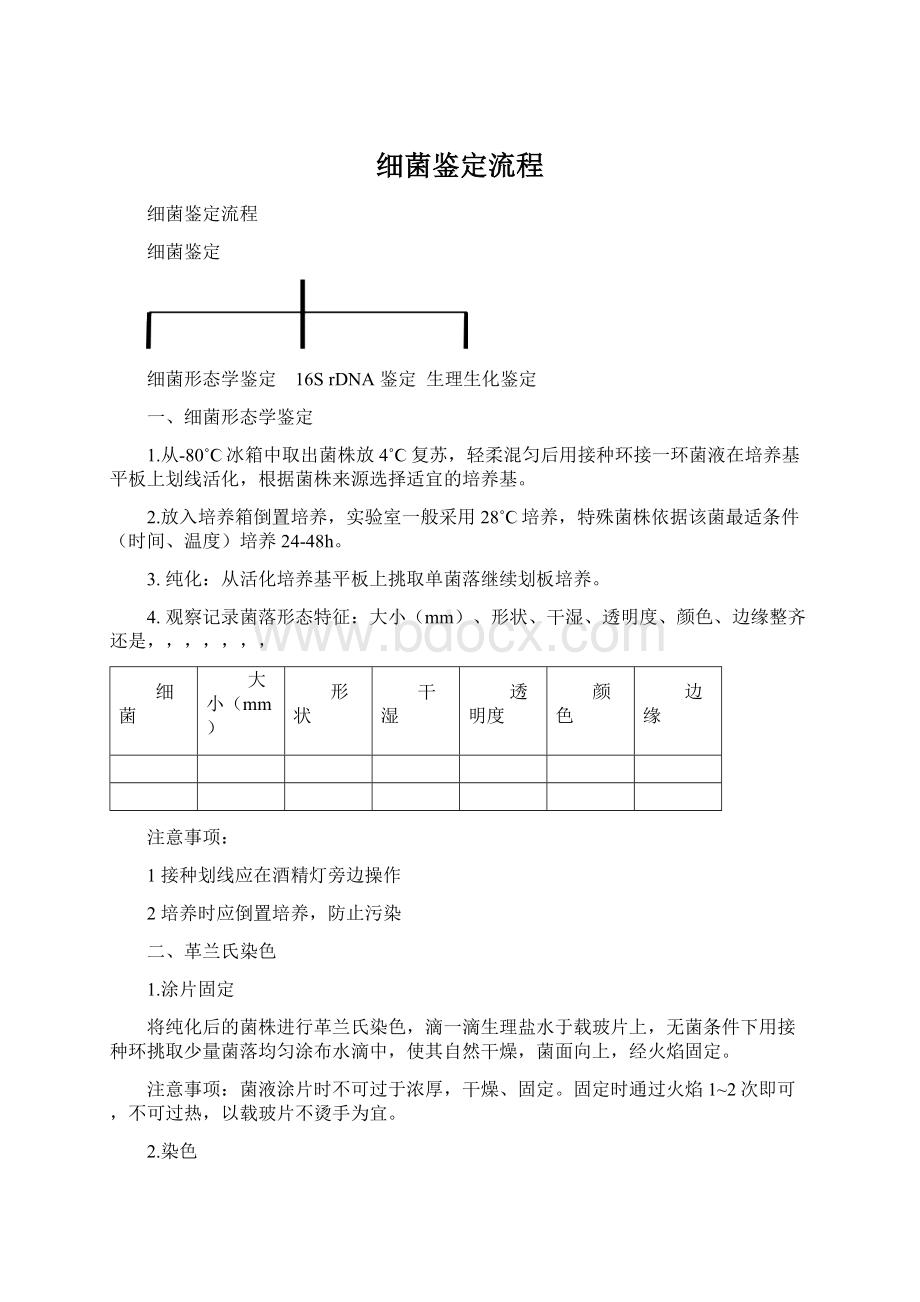 细菌鉴定流程.docx