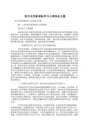 初中化学新课标学习心得体会五篇Word格式.docx