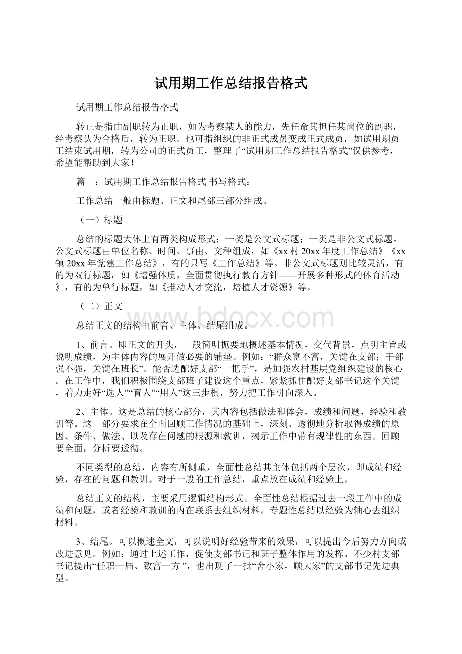 试用期工作总结报告格式.docx