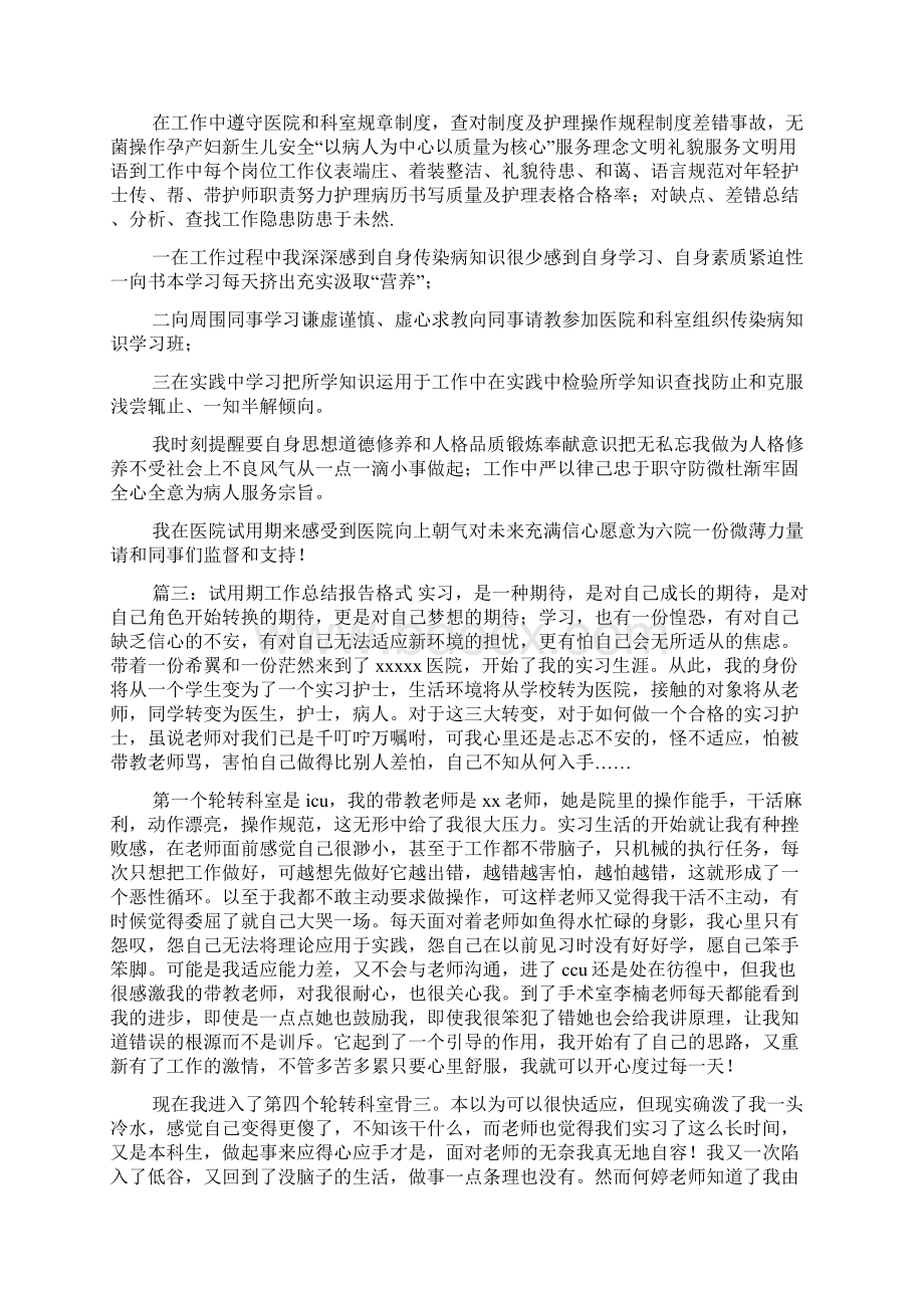 试用期工作总结报告格式.docx_第3页