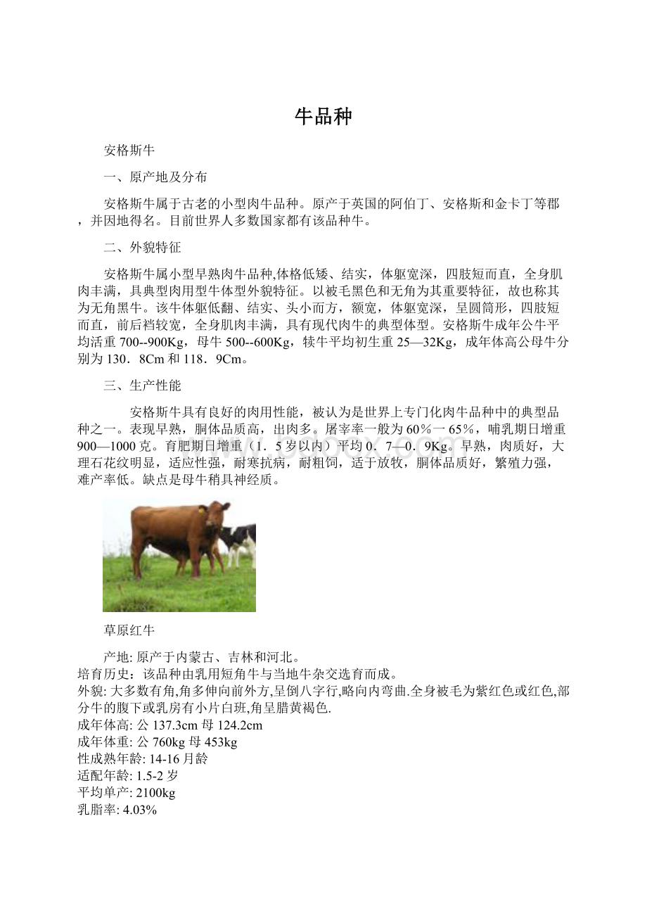 牛品种Word文件下载.docx_第1页