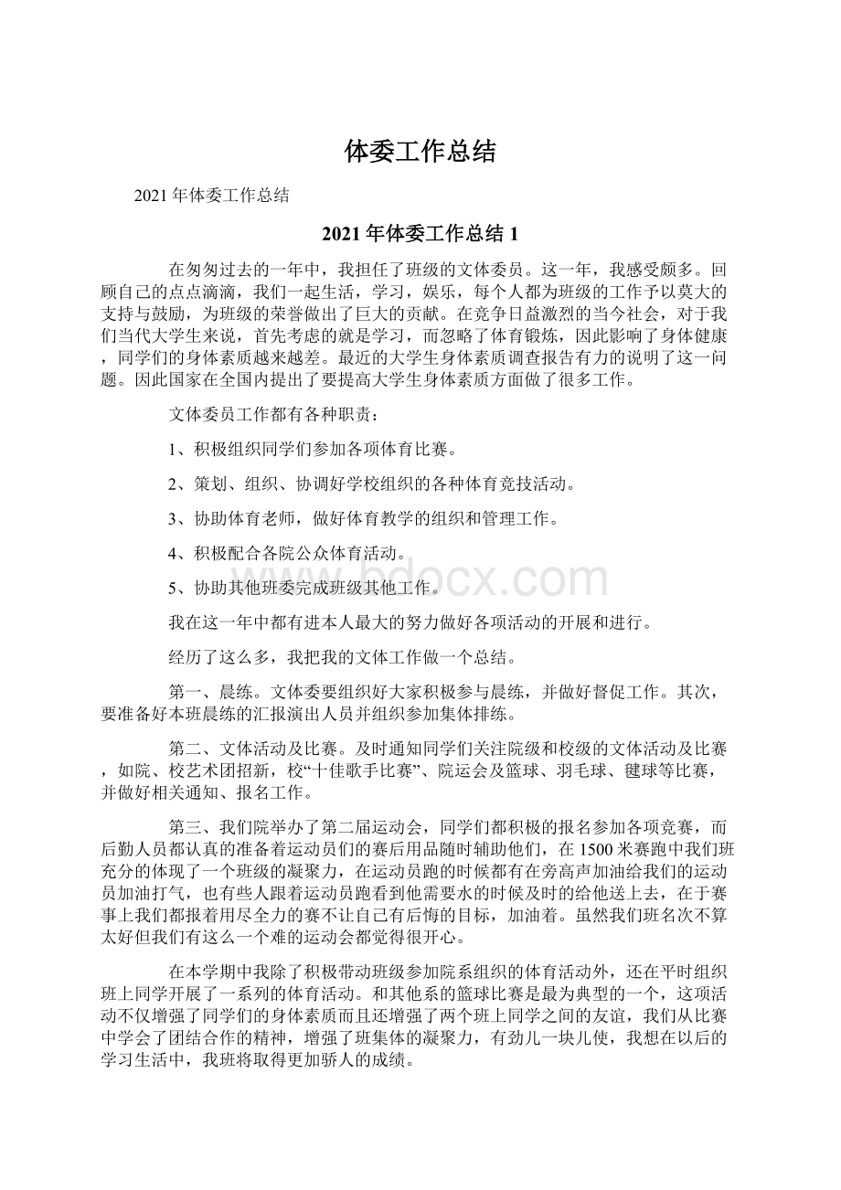 体委工作总结文档格式.docx