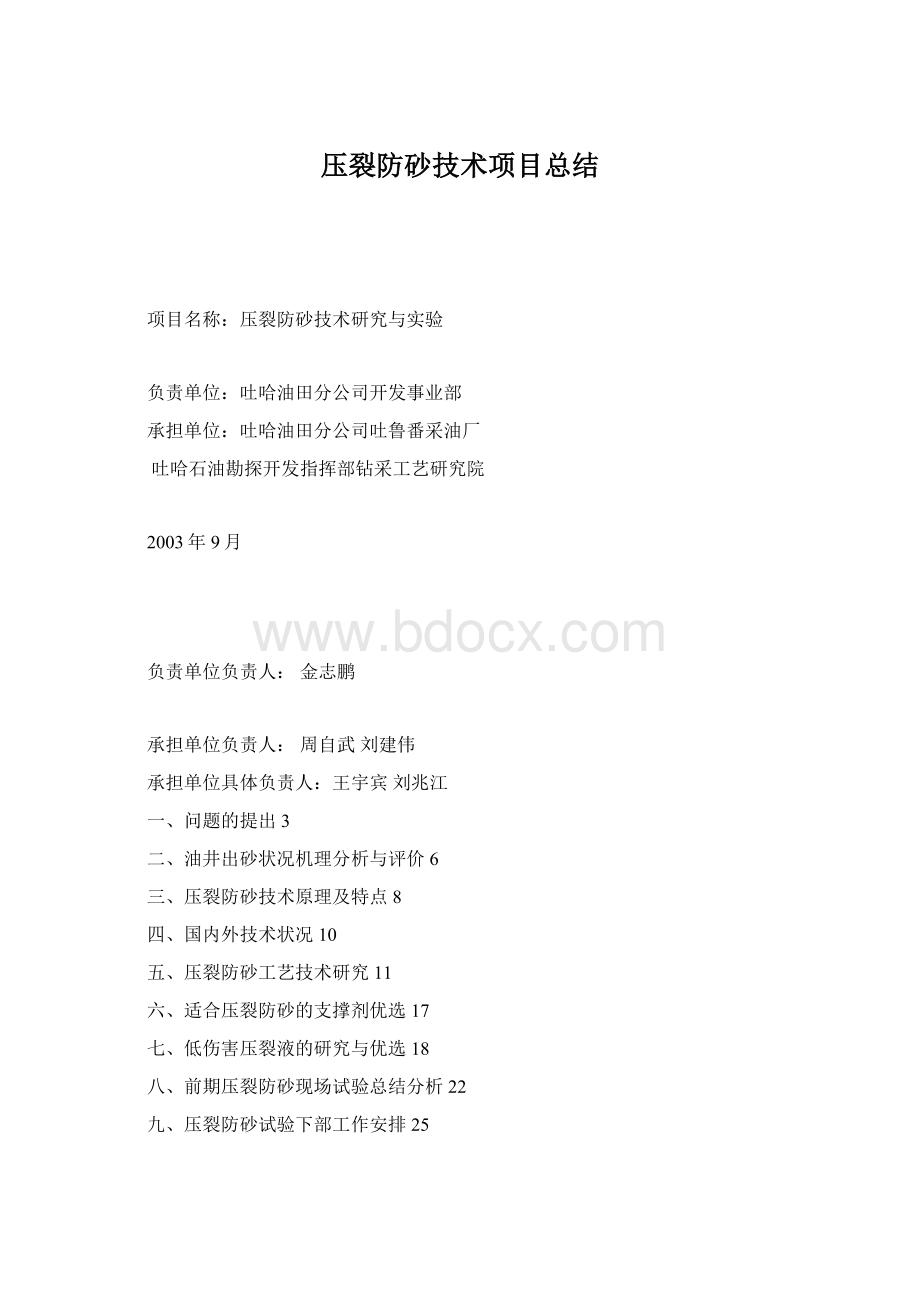 压裂防砂技术项目总结.docx_第1页