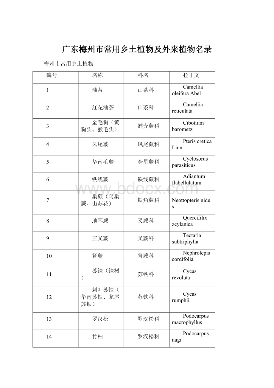 广东梅州市常用乡土植物及外来植物名录Word下载.docx_第1页