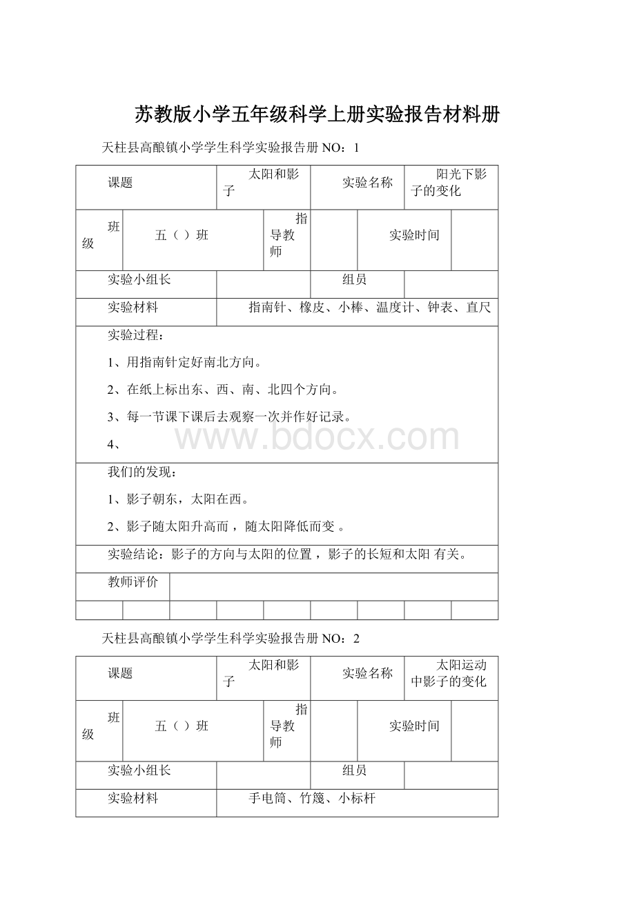 苏教版小学五年级科学上册实验报告材料册Word文档格式.docx_第1页