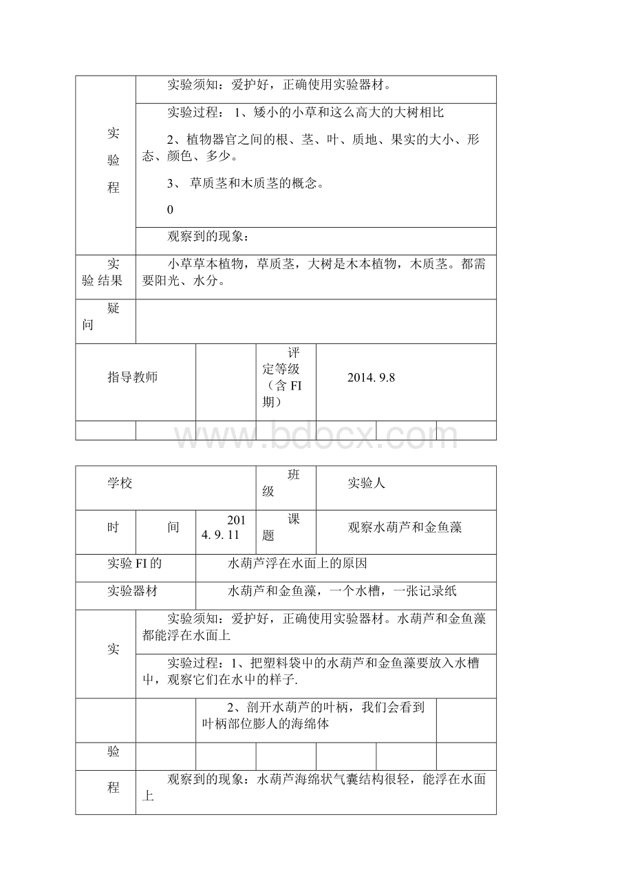 教科版三年级上册科学实验报告单城厢小学doc.docx_第3页