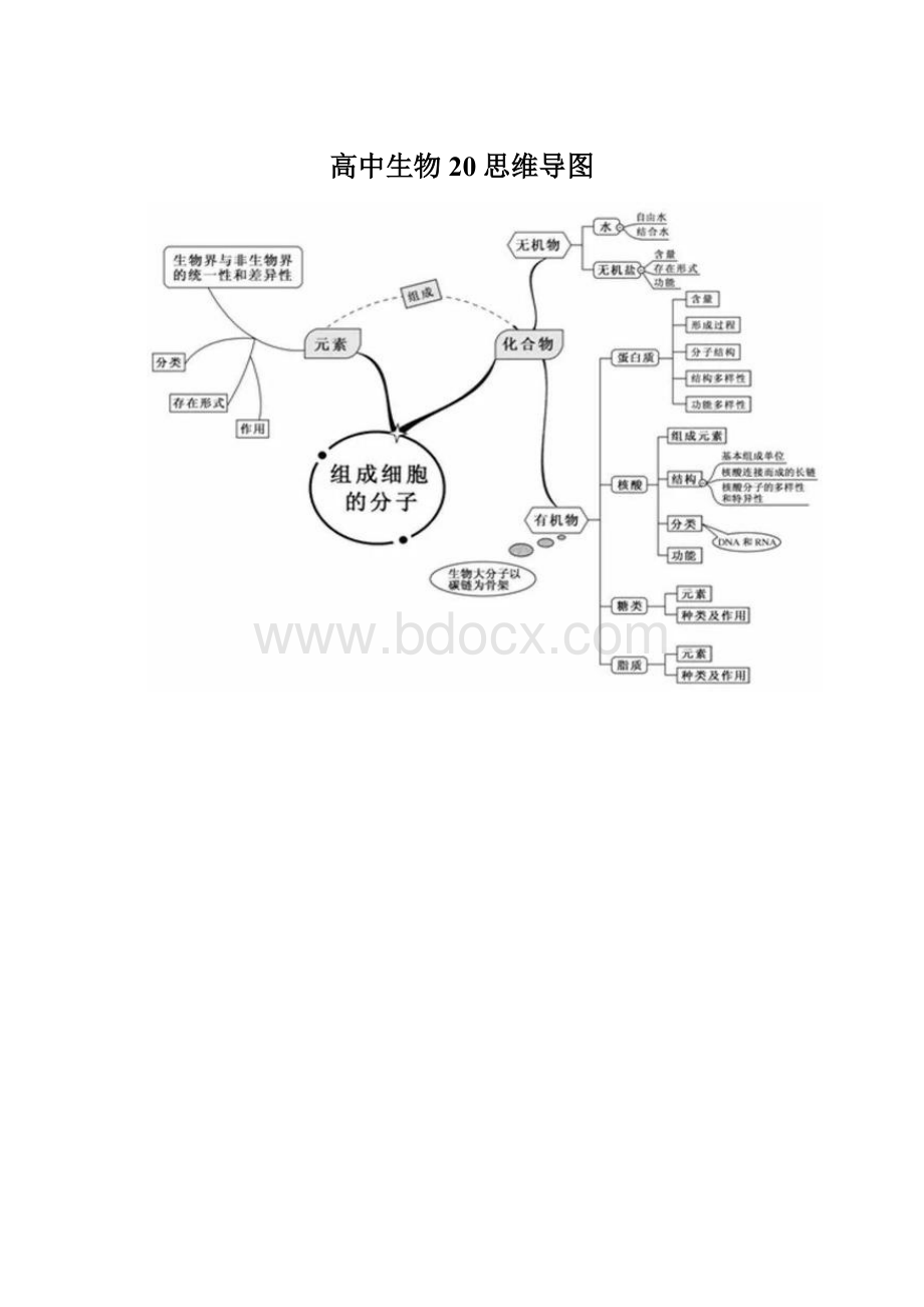 高中生物20思维导图Word格式文档下载.docx_第1页