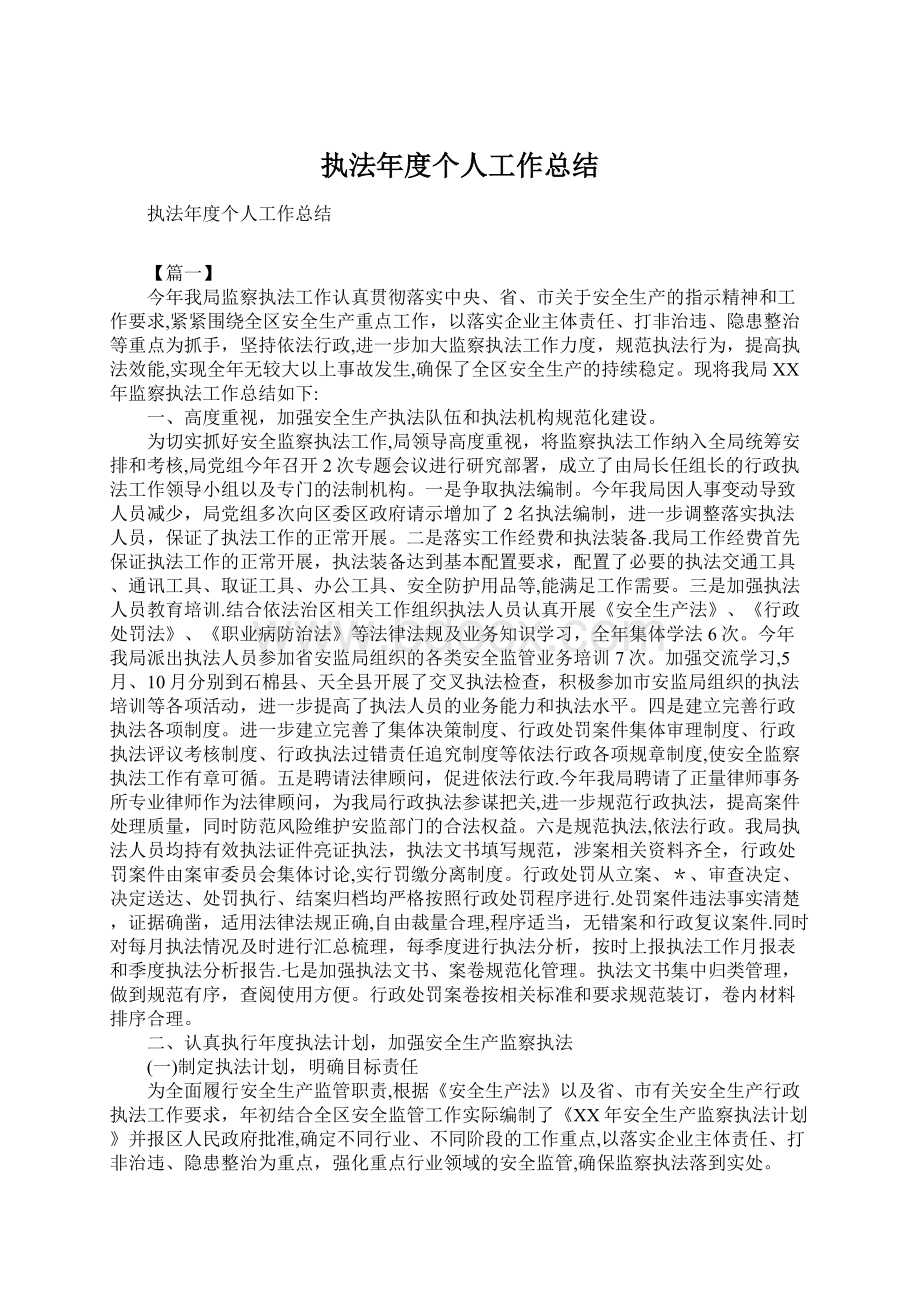 执法年度个人工作总结Word格式.docx