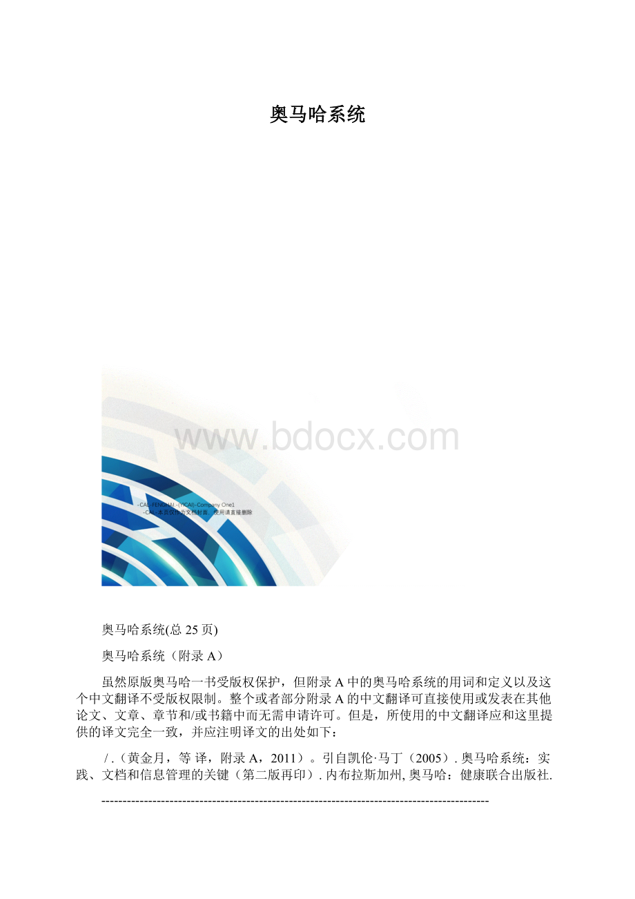 奥马哈系统Word格式.docx