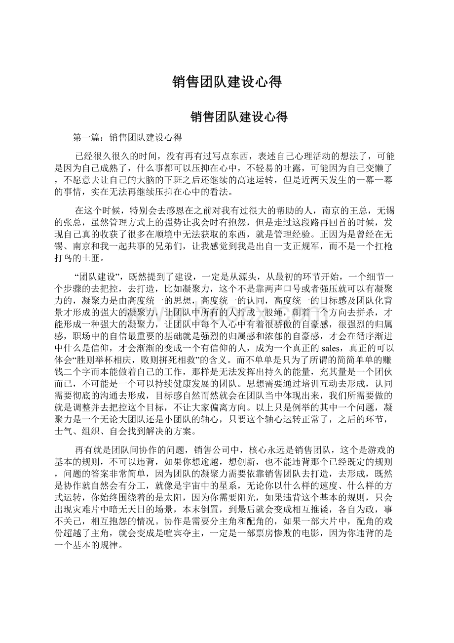 销售团队建设心得Word文档格式.docx