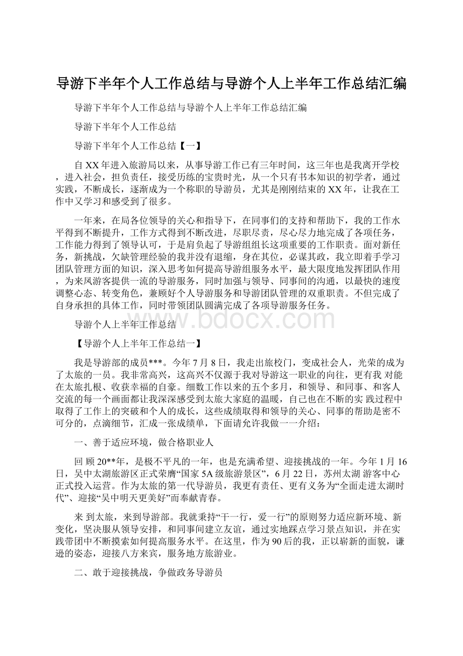 导游下半年个人工作总结与导游个人上半年工作总结汇编.docx