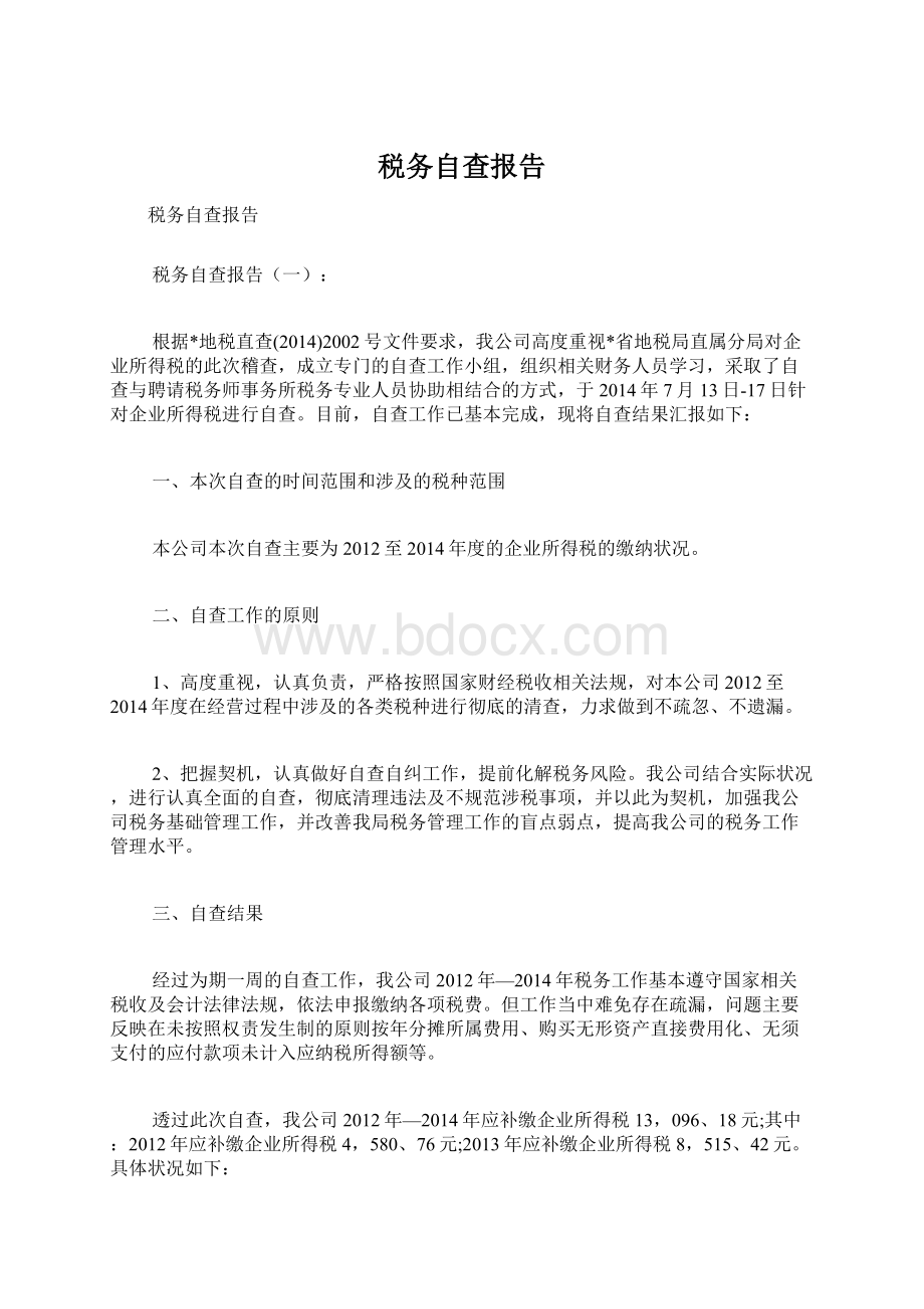 税务自查报告文档格式.docx