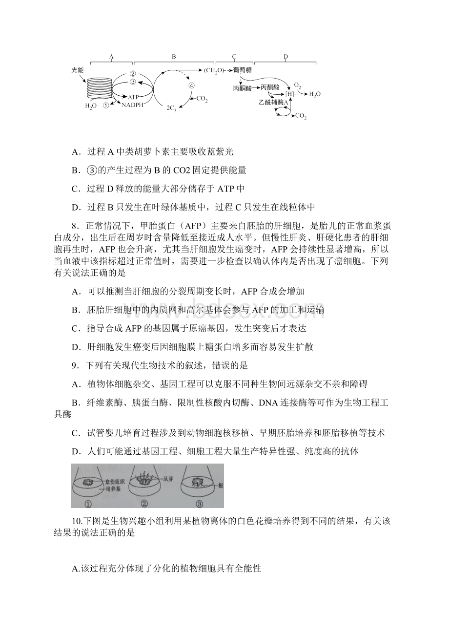 江苏省南京市届高三上学期第一段考试生物 Word版含答案.docx_第3页