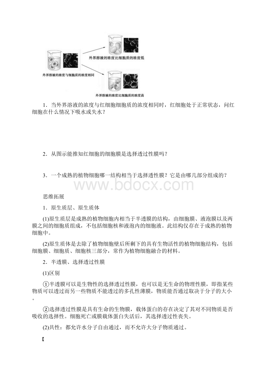 细胞的基本结构和物质运输功能文档格式.docx_第3页