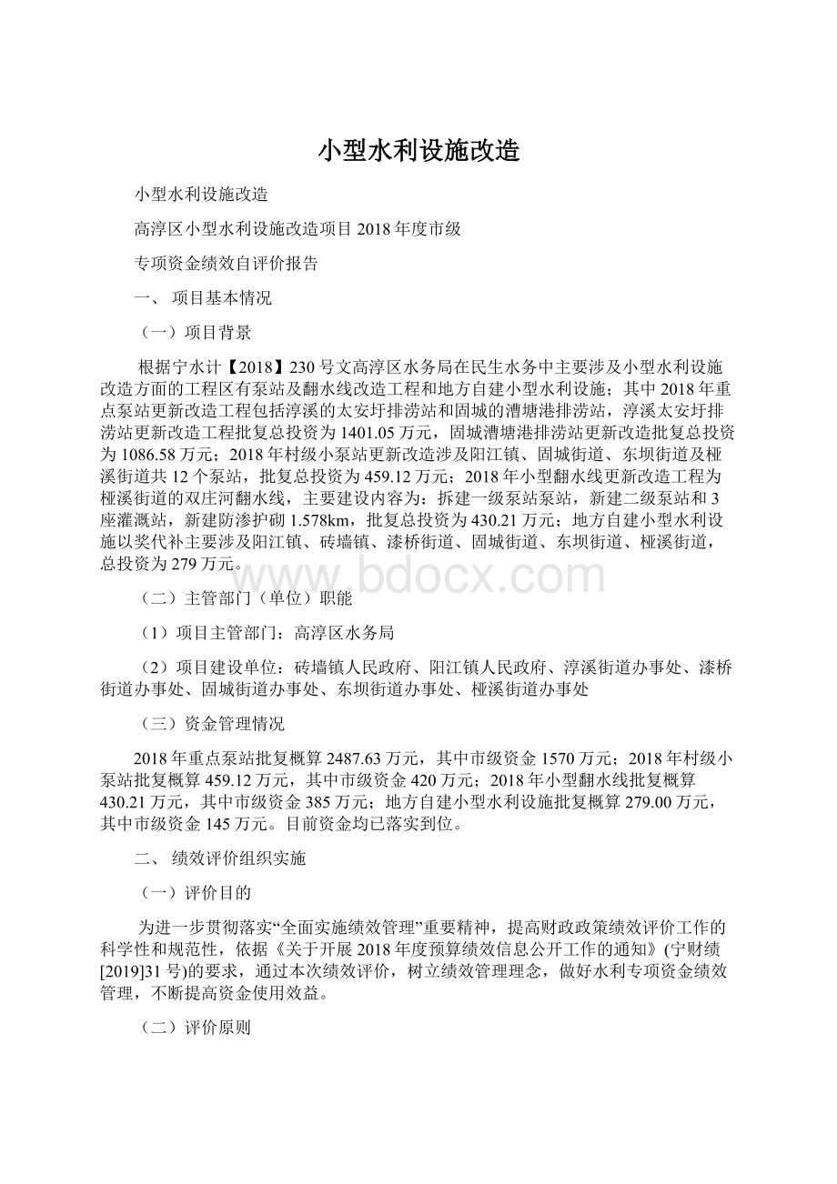 小型水利设施改造文档格式.docx