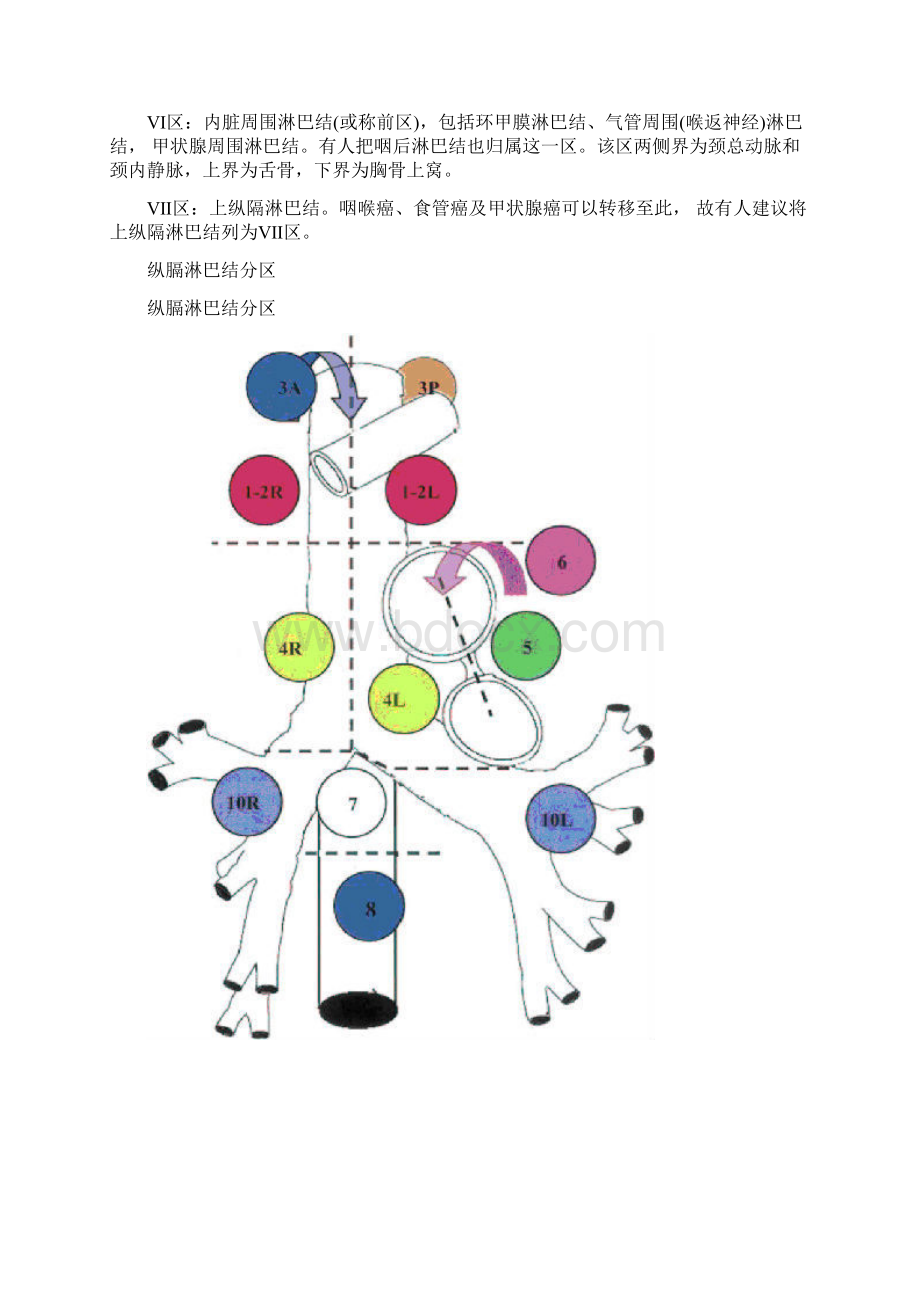 最新颈部淋巴结分区示意图.docx_第3页