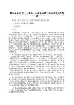 新初中中考 语文文学类文本阅读专题训练专项训练及答案Word格式.docx