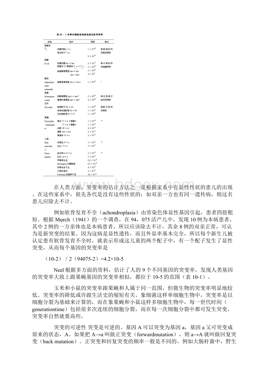 第十章遗传物质的改变二基因突变Word格式.docx_第3页