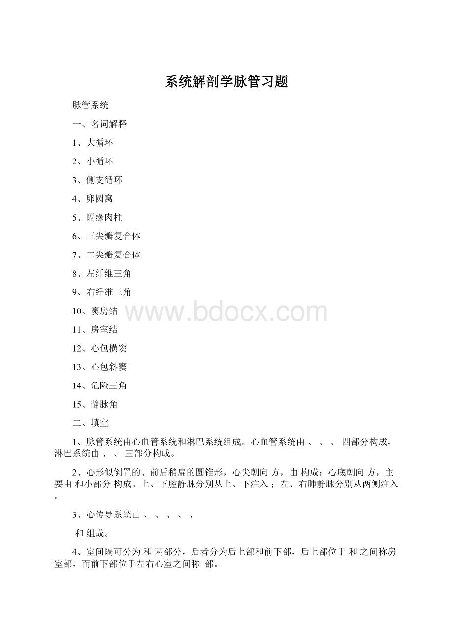 系统解剖学脉管习题Word文档下载推荐.docx