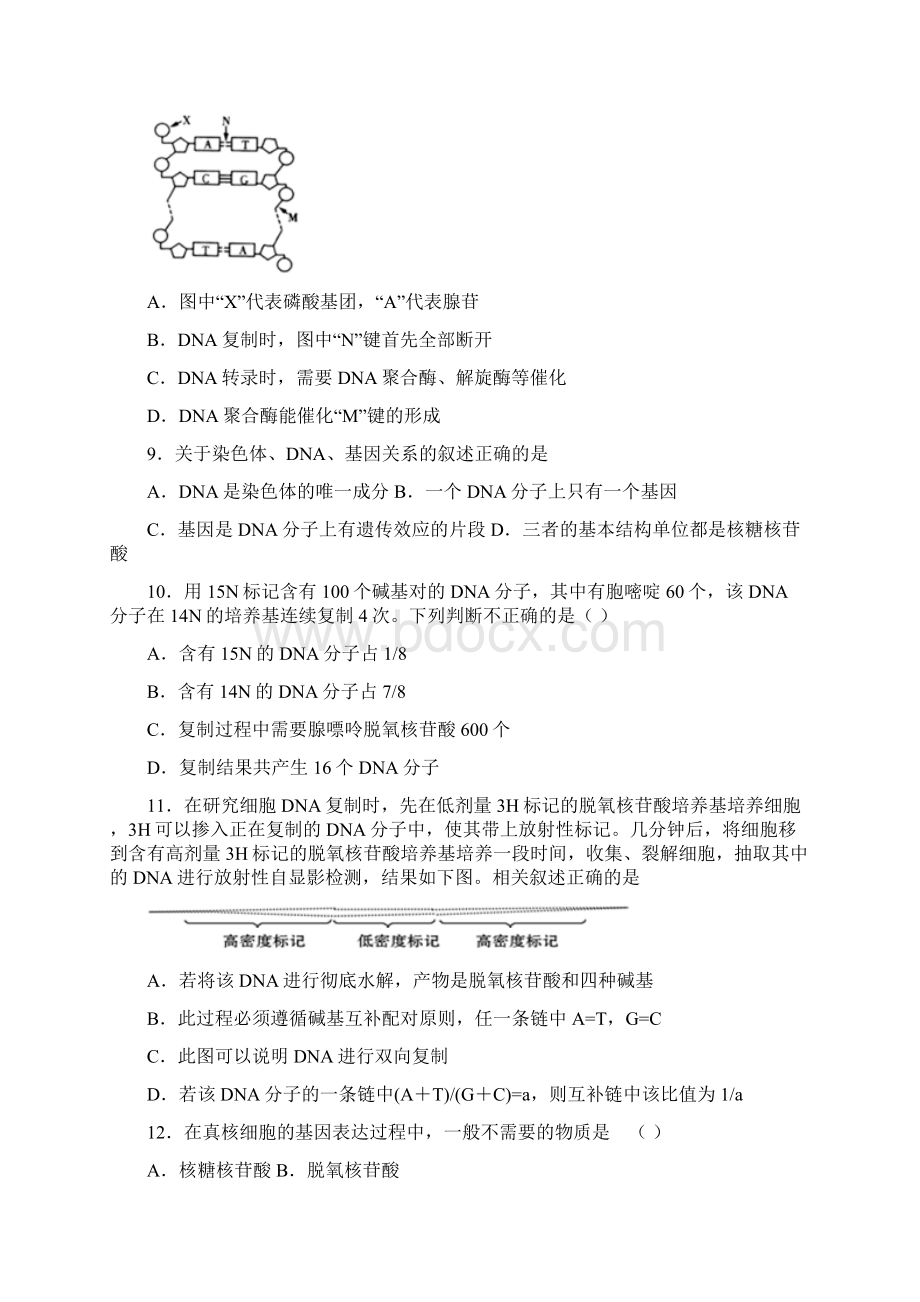 黑龙江省牡丹江市一中学年高一下学期期末生物试题Word格式.docx_第3页