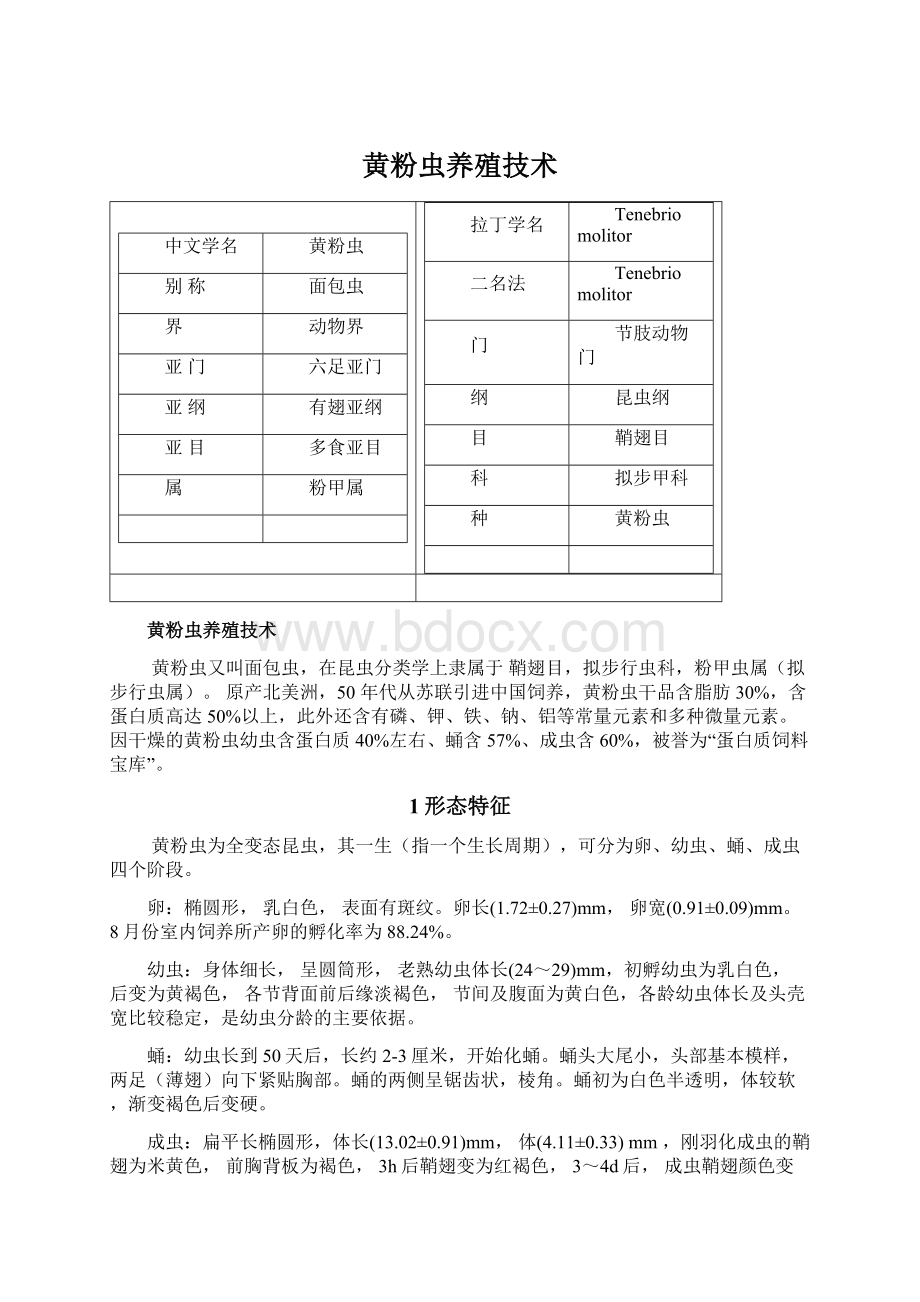 黄粉虫养殖技术.docx_第1页