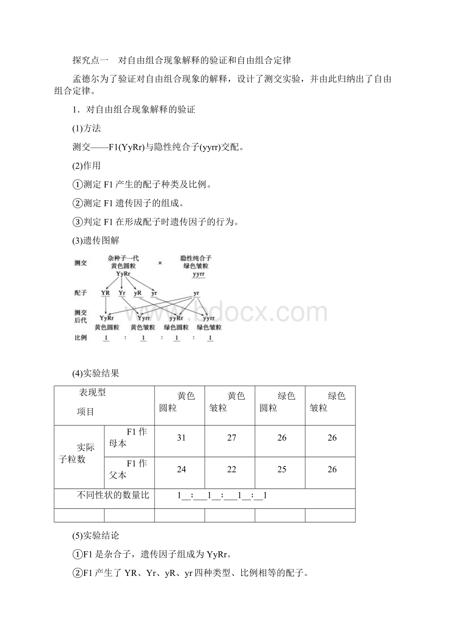 第5课时 孟德尔的豌豆杂交实验二.docx_第3页