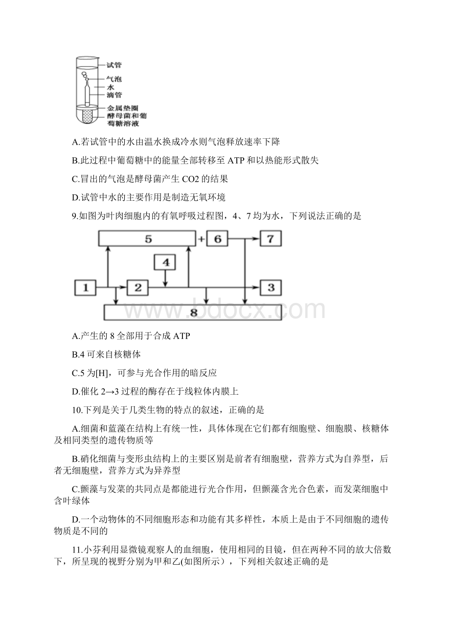 生物河北省石家庄二中学年高二下学期期末模拟考试试题.docx_第3页