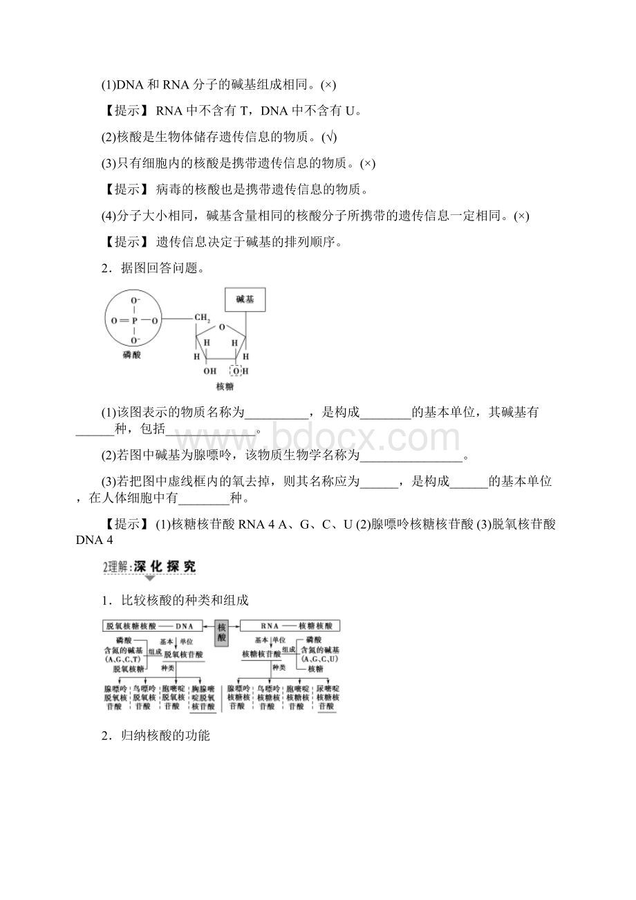 届高三生物一轮复习第1单元核酸糖类和脂质讲义新人教版必修1.docx_第2页