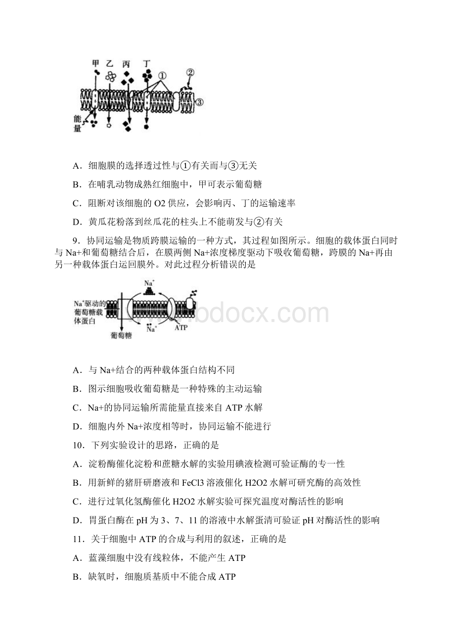 山东省临沂市学年高三上学期期中考试生物试题 Word版含答案Word文档格式.docx_第3页