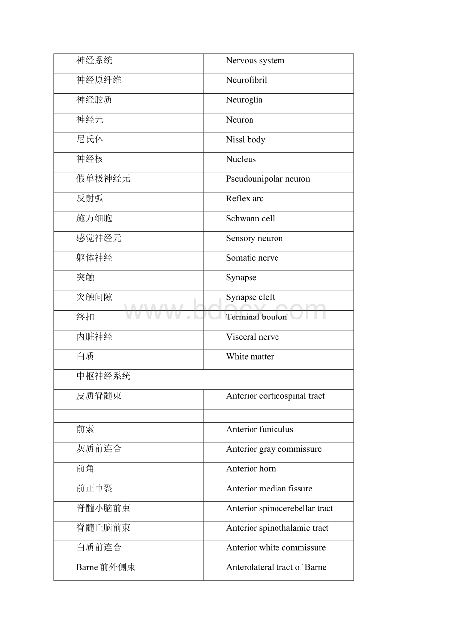 解剖名词中英对照神经系统部分Word文档下载推荐.docx_第2页