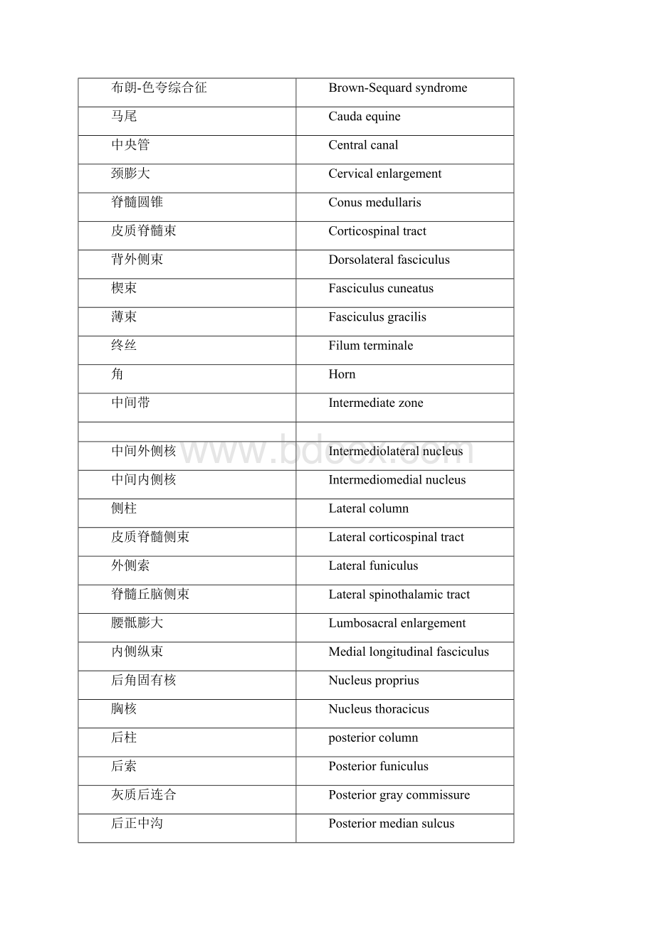 解剖名词中英对照神经系统部分Word文档下载推荐.docx_第3页