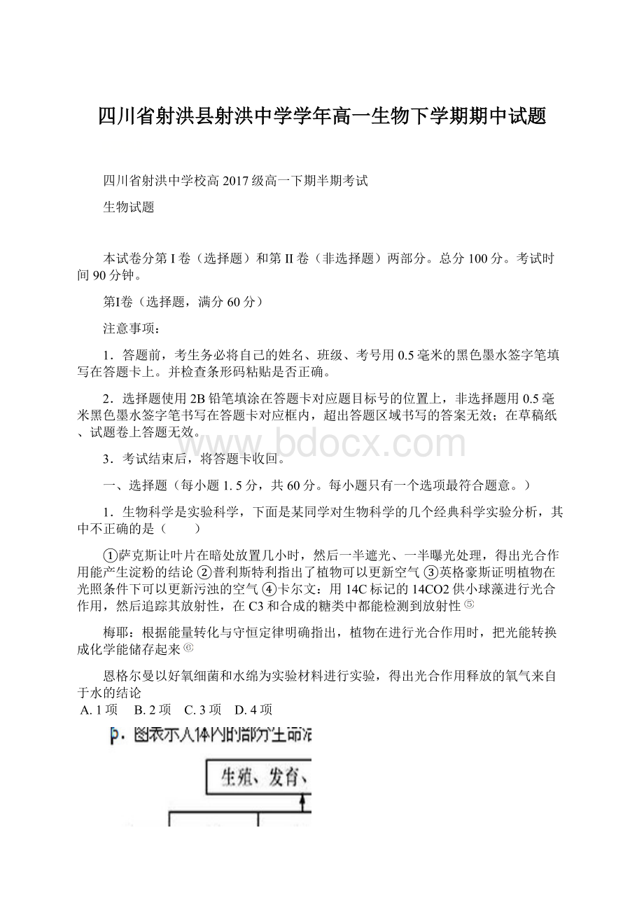 四川省射洪县射洪中学学年高一生物下学期期中试题文档格式.docx_第1页