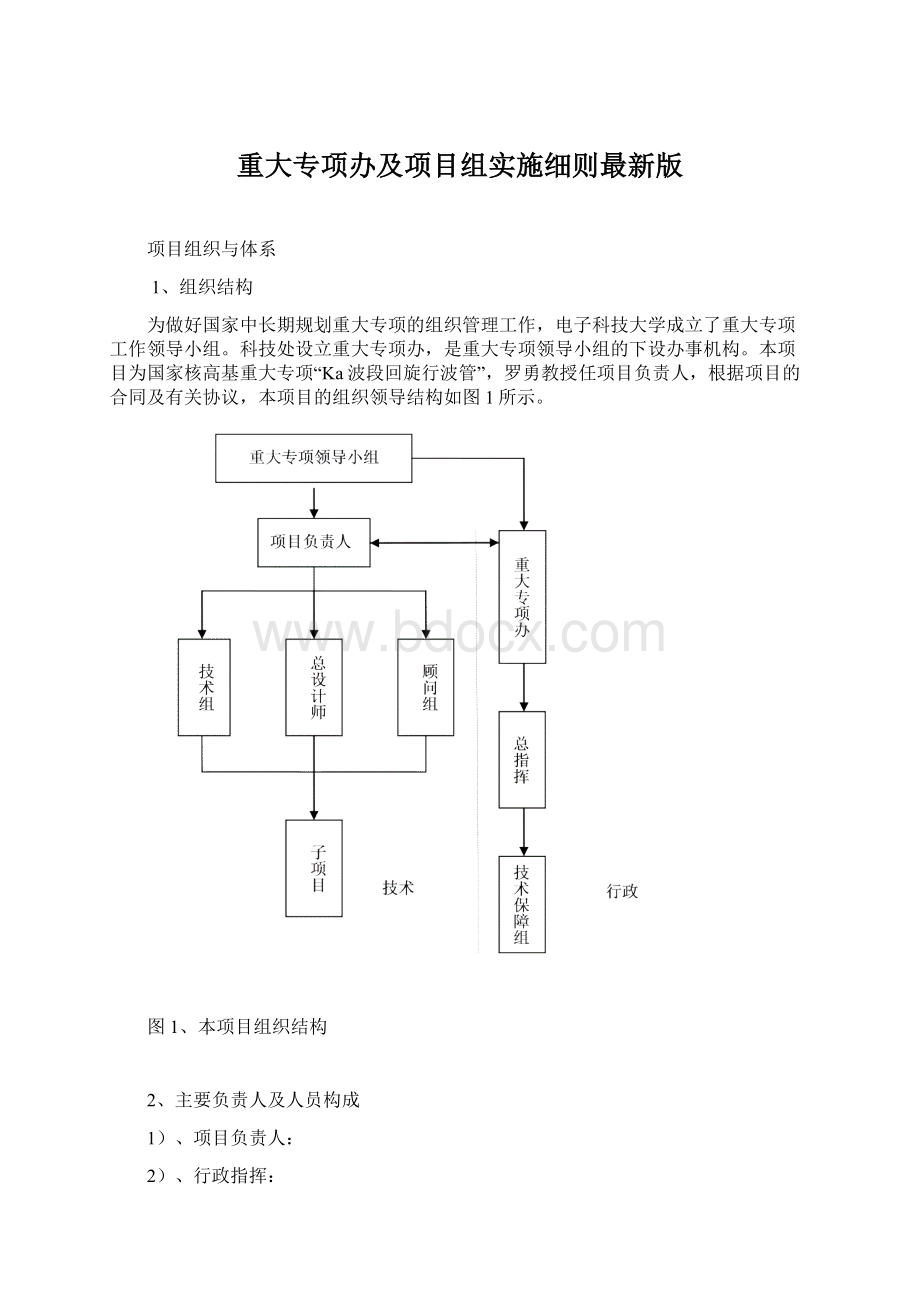 重大专项办及项目组实施细则最新版Word文件下载.docx_第1页