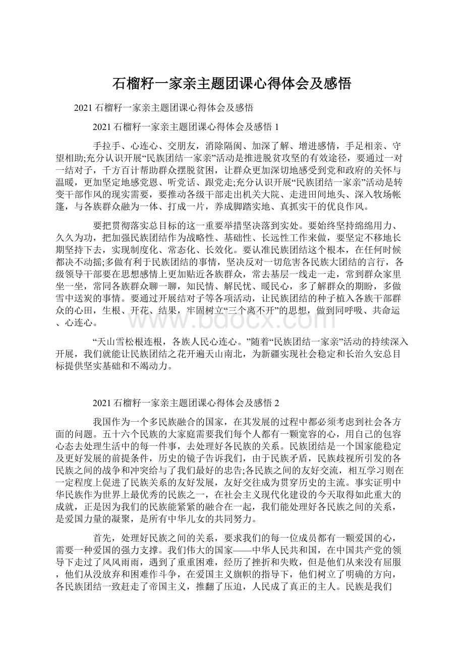 石榴籽一家亲主题团课心得体会及感悟Word文件下载.docx