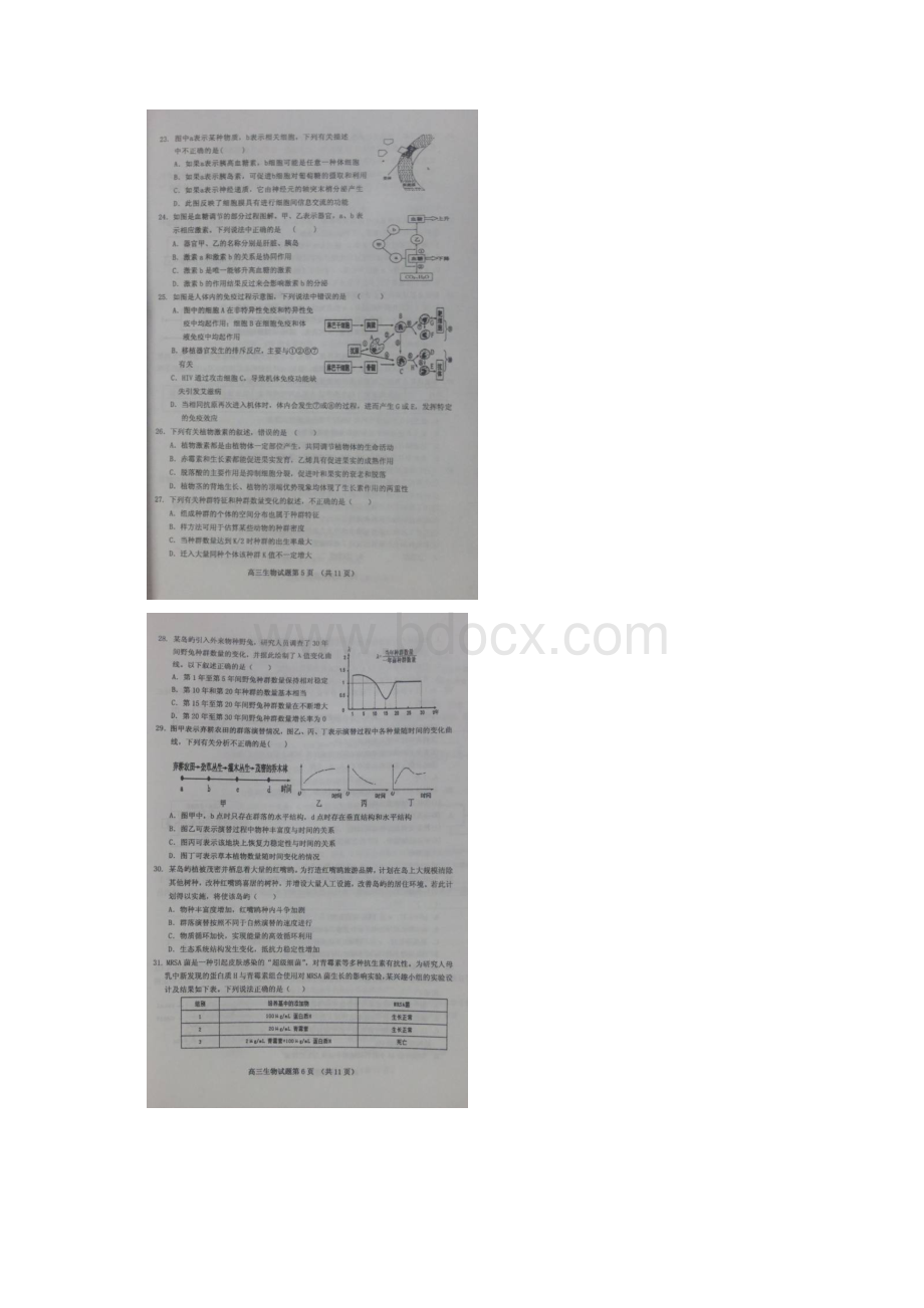 河北省邯郸市届高三份教学质量检查生物试题扫描版.docx_第3页