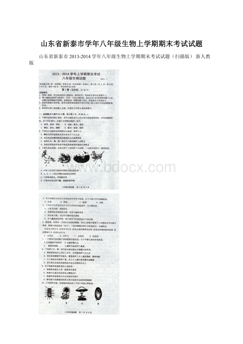 山东省新泰市学年八年级生物上学期期末考试试题Word格式文档下载.docx