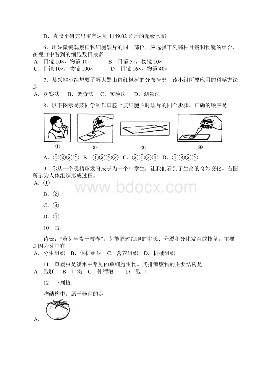 安徽省合肥市学年七年级生物上学期期中试题 新人教版文档格式.docx_第2页