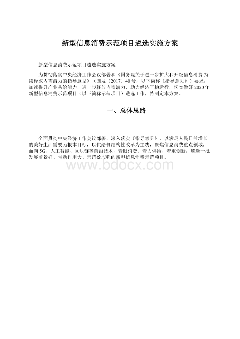 新型信息消费示范项目遴选实施方案文档格式.docx