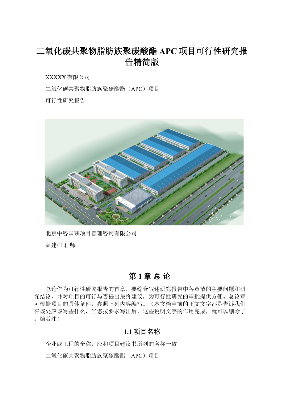 二氧化碳共聚物脂肪族聚碳酸酯APC项目可行性研究报告精简版.docx