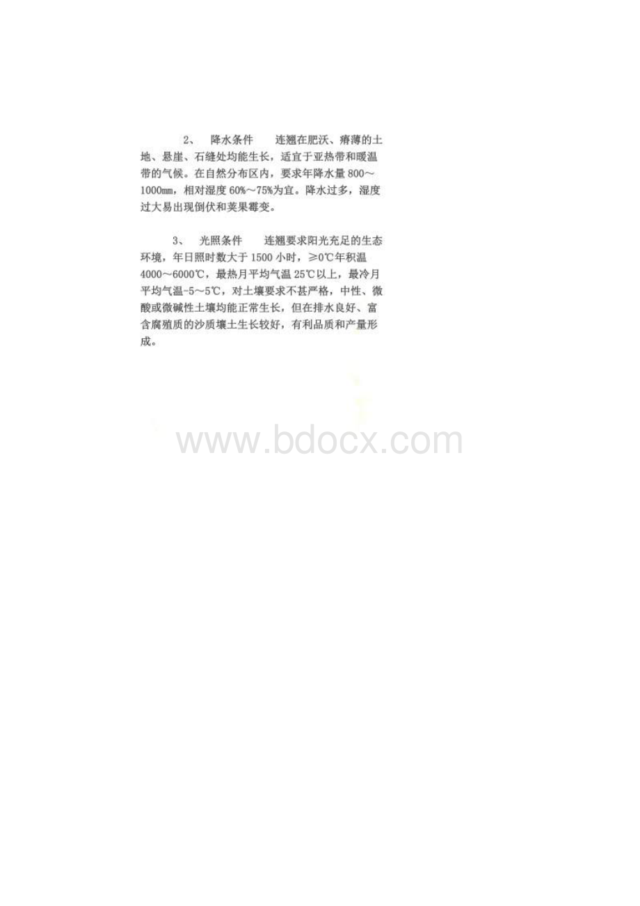 连翘的种植技术.docx_第2页