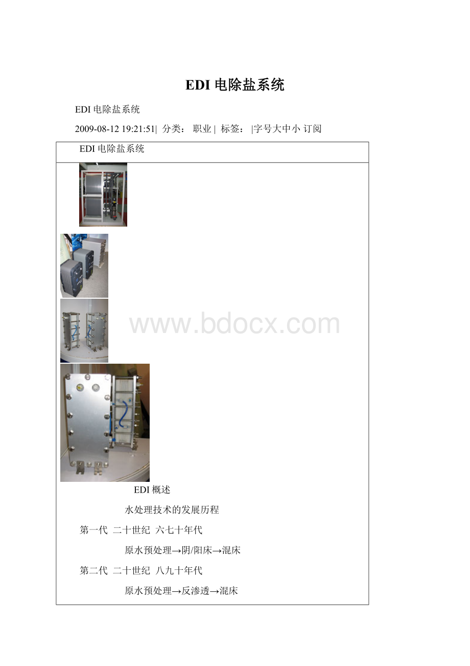 EDI电除盐系统.docx